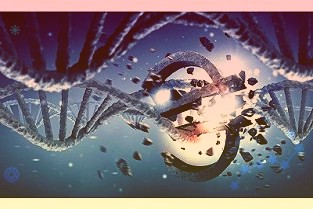 信诚人寿保险退保金怎么算信诚人寿退保攻略